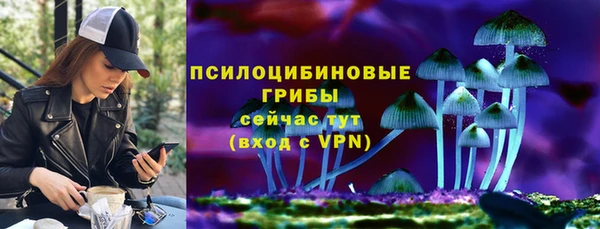 мет Корсаков