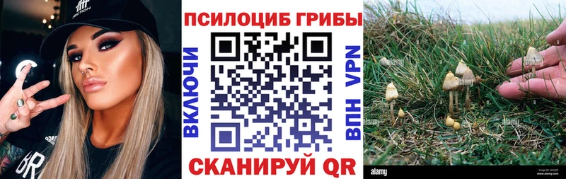 Псилоцибиновые грибы мицелий  Купить  Реутов